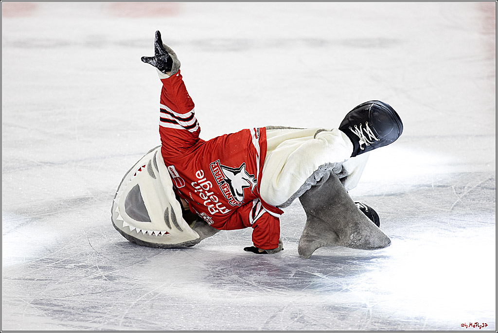 PENNY DEL;  Kölner Haie - Adler Mannheim; Köln, 04.11.2022